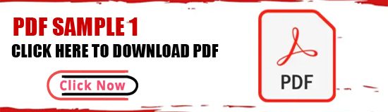 PDF SAMPLE 01